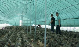 駐馬店市質(zhì)檢中心開展2017年農(nóng)產(chǎn)品質(zhì)量安全第三次例行監(jiān)測(cè)工作