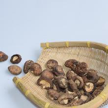 其他新鮮農(nóng)產(chǎn)品市場(chǎng)概況 批發(fā)、價(jià)格與廠家分析